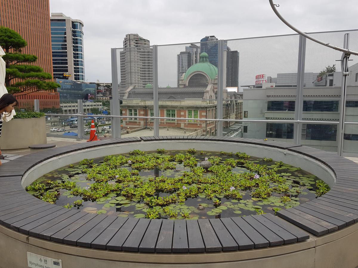 Homestay Eve Seoul Bagian luar foto